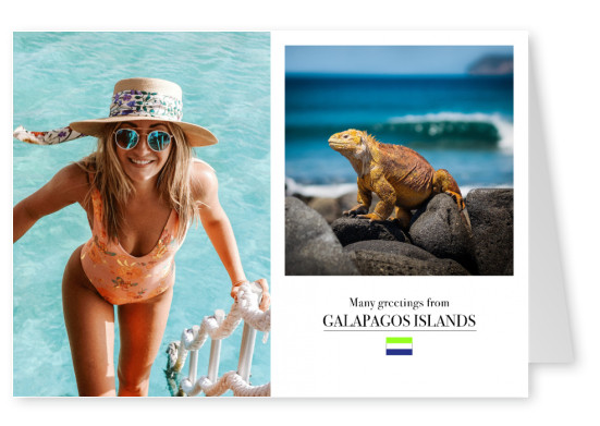 foto iguana en islas Galápagos