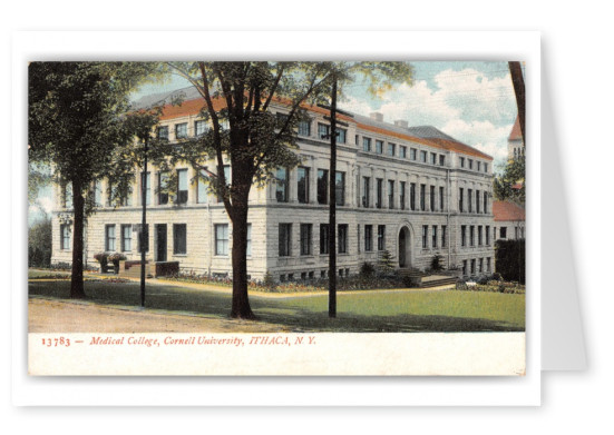 Ithaca, New York, Medical College, Cornell Univeristy