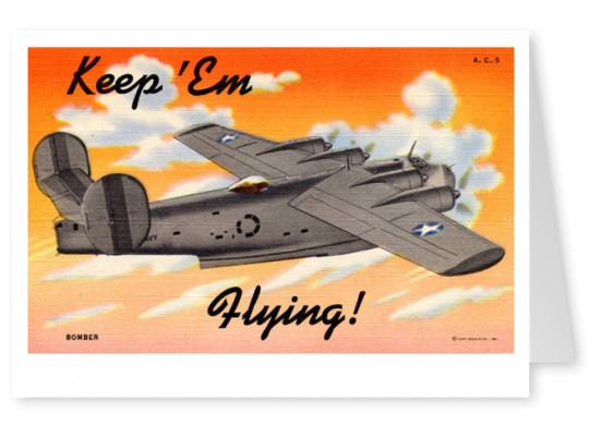 Curt Teich Postcard Archives Collection keep em flying