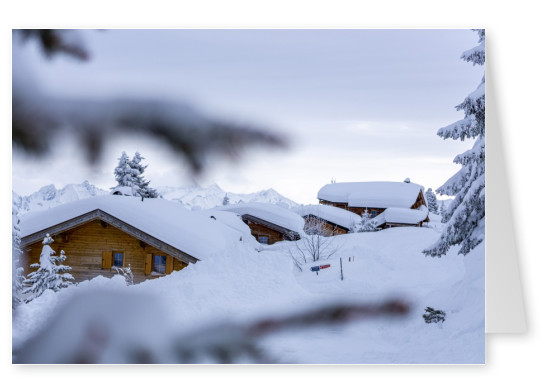 James Graf foto de los Alpes de Zillertal