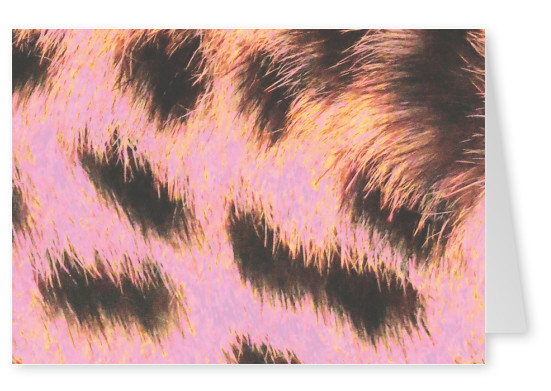 Ballack Art House luipaard roze