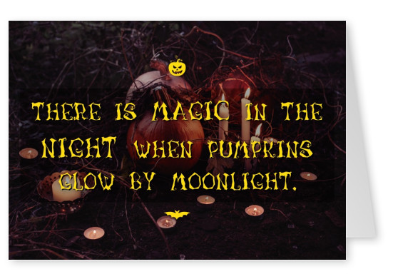Er is magie in de nacht, wanneer de pompoenen gloed van het maanlicht