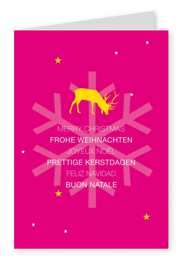 Xmas various languages with reindeer pink