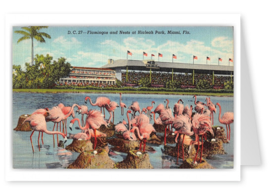 Miami Florida Hialeah Park Race Track Grand Stand and Flamingo Nests