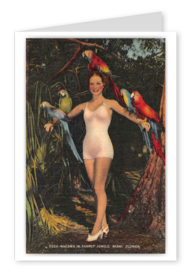Miami Florida Parrot Jungle Lady with Macaws