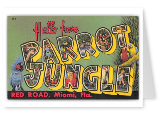 Miami Florida Parrot Jungle Large Letter Greetings