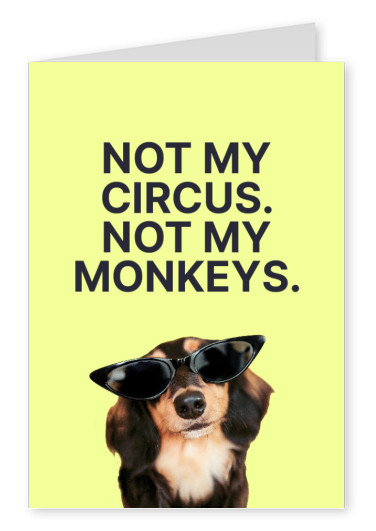 Not my circus, not my monkeys