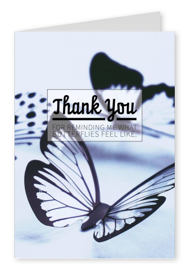 cartão-postal dizendo: Obrigado por me lembrar que as borboletas sentem gosto