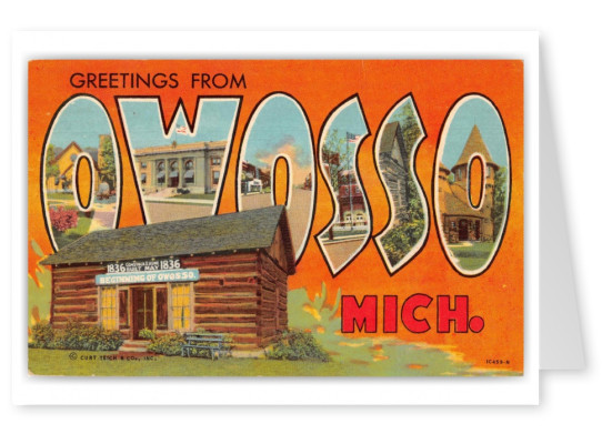 Owosso Michigan Large Letter Greetings