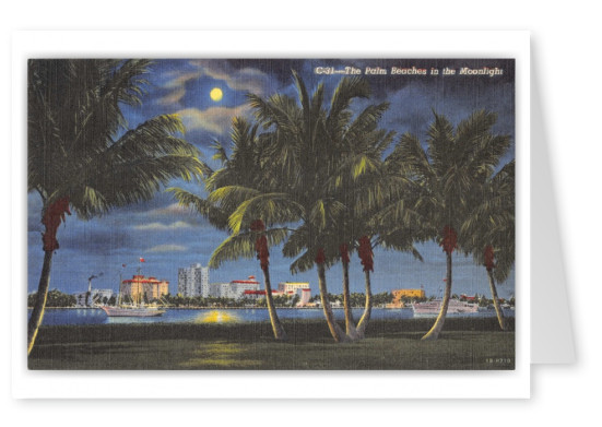Palm Beach, Florida, in moonlight