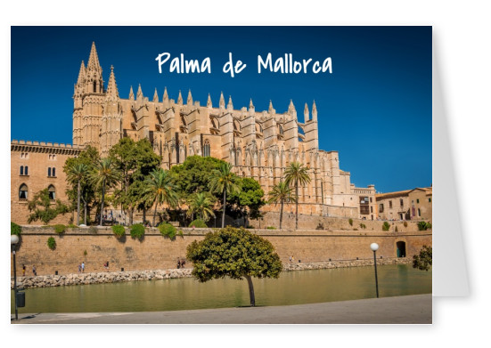 Photo of Palma de Mallorca showing La Seu Cathedral and palm trees–mypostcard