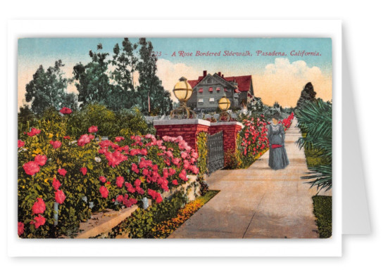 Pasadena California Rose Bordered Sidewalks