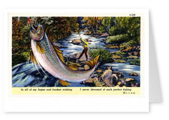Curt Teich Postcard Archives Collection  in a ll of my dreams and fondest wishing I never dreamed of such perfect fishing