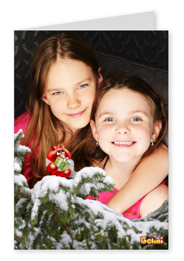 Personalizable greeting card with a Gelini on a fir branch with a present