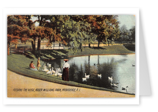 Providence, Rhode Island, Feeding Geese, Roger Williams Park