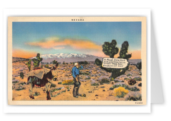 Reno Nevada Man in Desert with Donkey