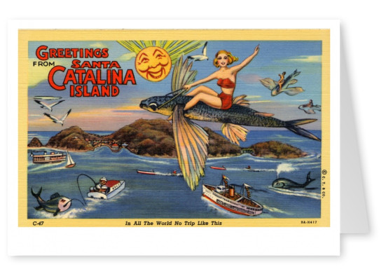 Curt Teich carte Postale des Archives Collection greetings de l'Île de Santa Catalina