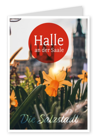 photo postcard Halle an der Saale Die Salzstadt