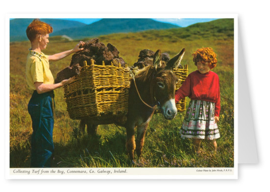John Hinde Arkiv foto Insamling av torv från mossen, Connemara