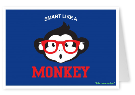 Expression drole franglais - smart like a monkey