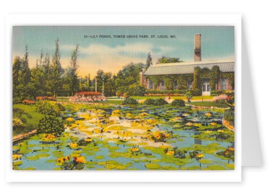 St. Louis, Missouri, Lily Ponds, Tower Grove park