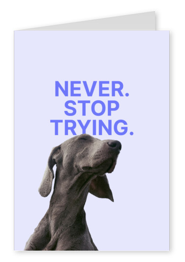 Never. Stop trying.