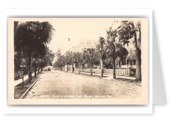 Tarpon Springs Florida Tarpon Avenue Looking West