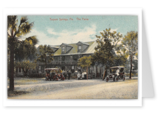 Tarpon Springs, Florida, The Ferns