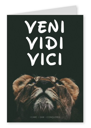 Veni Vidi Vici (I Came I Saw I Conquered) | Poster