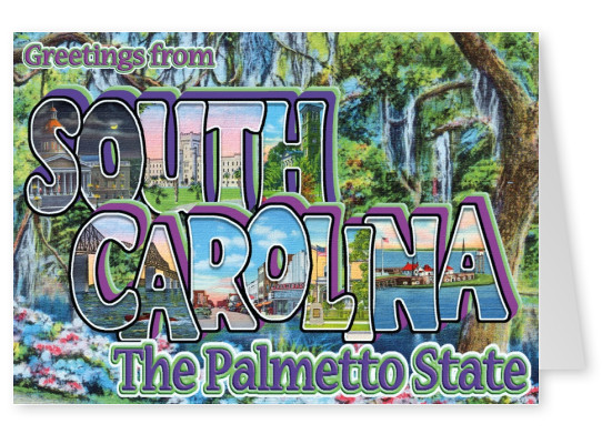 In South Carolina De Palmetto State