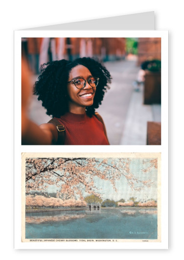 Washington DC, Cherry Blossoms, Tidal Basin