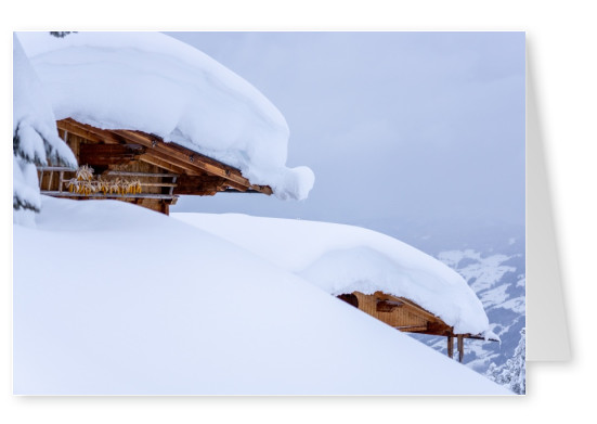 James Graf foto Alpes de Zillertal