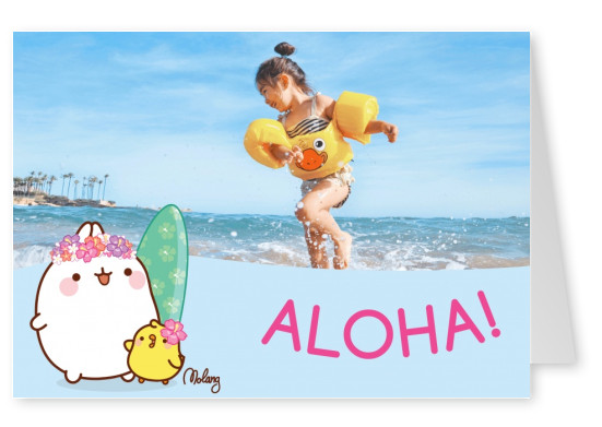 Aloha! - MOLANG