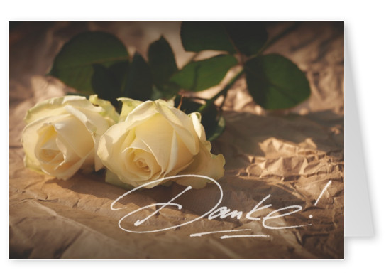 Grusskarte mit einem Foto von weißen Rosen und handgeschriebenen Danke! in weiß.