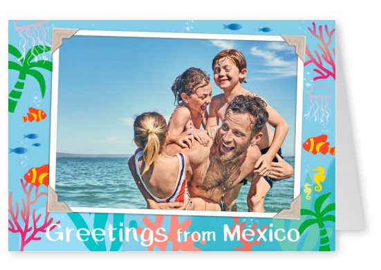 Greetings from Mexico