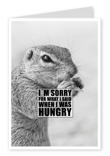 squirrel quote sorry