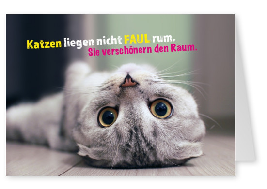 Auf dem Boden liegende graue Katze mit spruch in gelb und pinkâ€“mypostcard