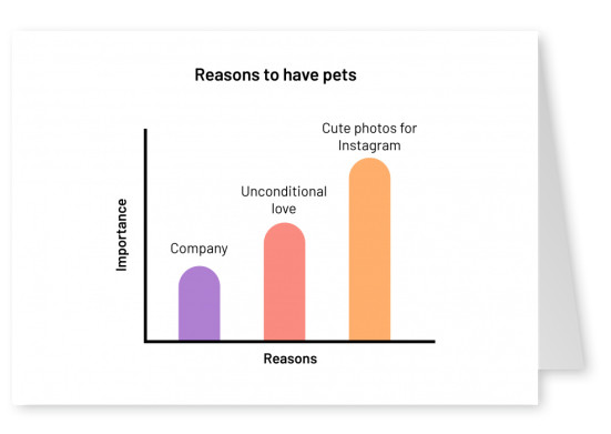 Reasons to have pets