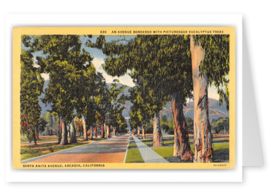 Arcadia, California, Santa Anita Avenue