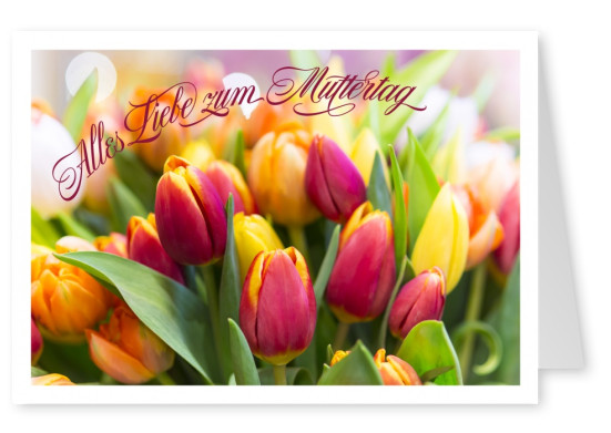 Foto von Tulpen-Blumenstrauß in rot und gelb zum Muttertag–mypostcard
