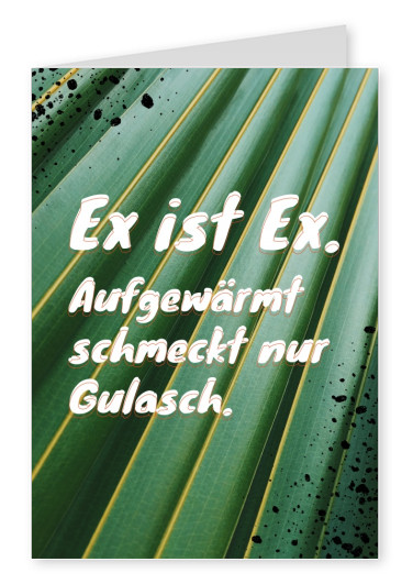 Ex ist Ex. AufgewÃ¤rmt schmeckt nur Gulasch.