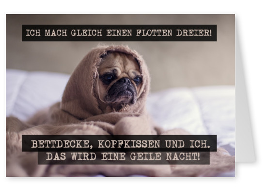 Foto Hund Spruch Flotter Dreier geile Nacht