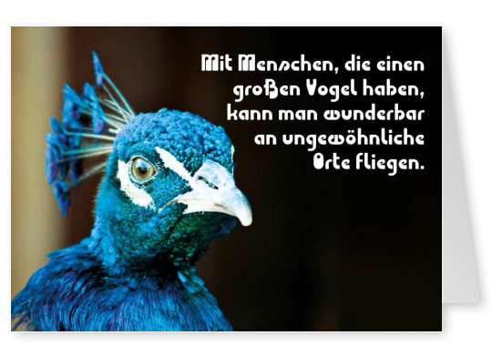 Postkarte Freundschaft blauer Vogel Spruch