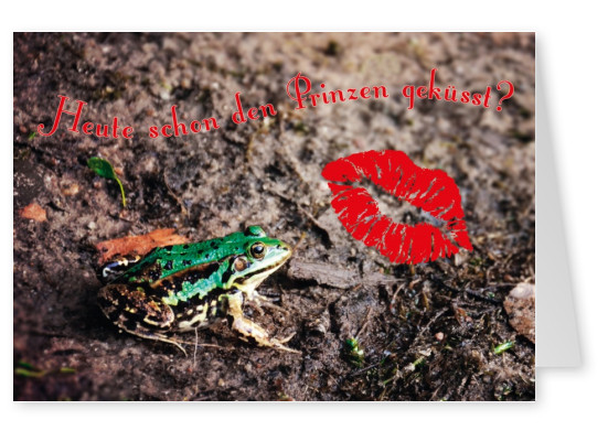 frosch spruch postkarte kussmund grafik