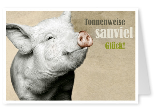 Bild eines glücklichen Schweinchens mit dem Spruch Tonnenweise sauviel Glück