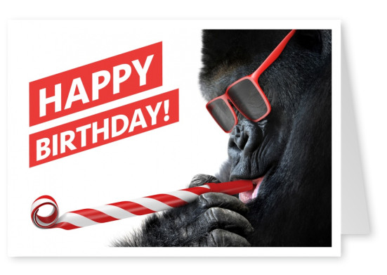 Gorilla mit roter Sonnenbrille und tröte Happy Birthday