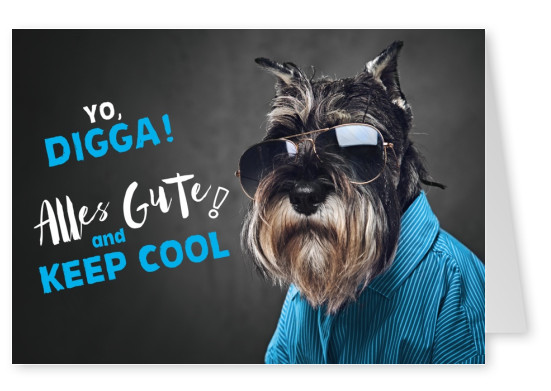 Foto Hund mit Sonnenbrille
