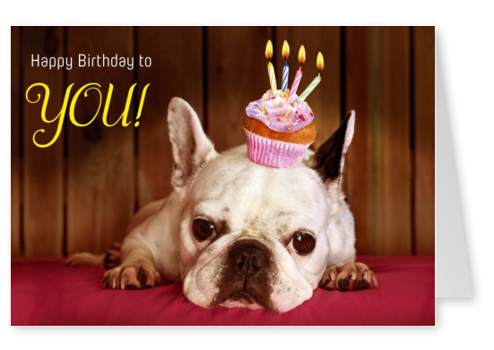 hund muffin kerzen happy birthday postkarte grusskarte