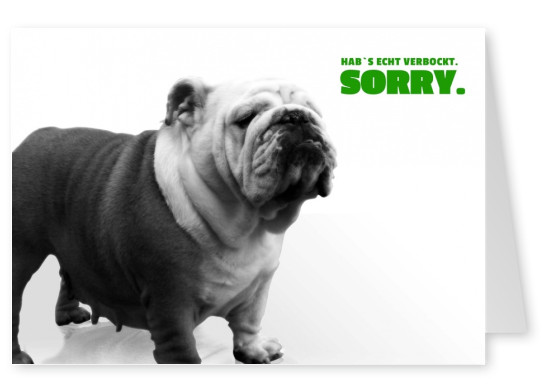 Verzeihung Sorry echt verbockt Postkarte Hund