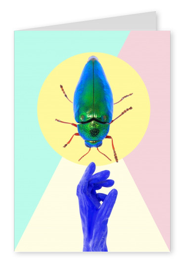 Kubistika insect mit blauem Handschuh